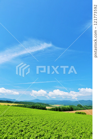 北海道夏天藍天和Biei風景 北海道夏天藍天和Biei風景 121773592