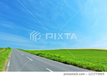 北海道夏天的藍天和美瑛的方式 121773605