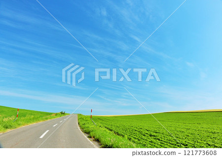 The blue sky of Hokkaido summer and the way of Biei The blue sky of Hokkaido summer and the way of Biei 121773608