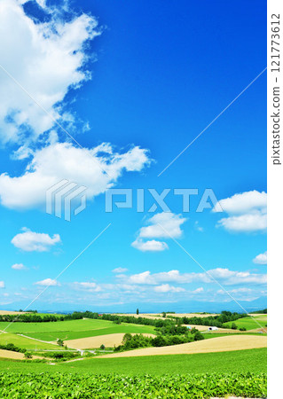 北海道夏天藍天和Biei風景 121773612