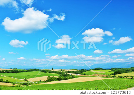 Hokkaido summer blue sky and Biei landscape 121773613