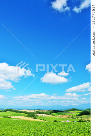 北海道夏天藍天和Biei風景 北海道夏天藍天和Biei風景 121773614