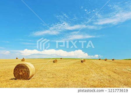 Hokkaido Biei: Summer blue sky and rolled grass land 121773619