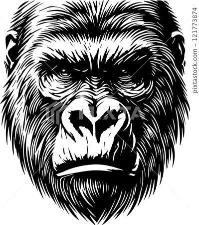 Gorilla face monochrome illustration 121773874