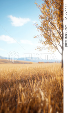 Golden grass field with tree under blue sky 121774342