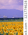 Summer sunflowers and bullet train 121774628