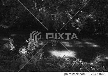 單色溪 單色溪 121774663