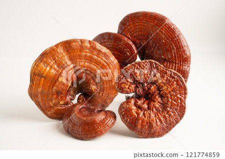 Dried lingzhi mushroom with capsule drug, alternative medicine herbal organic herb. 121774859
