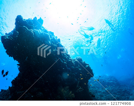 瀑布上的金魚、雀鯛和其他魚也在水面上游泳。 希里佐海灘 121774908