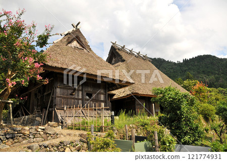 Thatched roof house Thatched roof house 121774931
