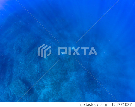 美麗的海葵田裡有一對可愛的小丑魚(海葵亞科)。輕裝潛水員也在那裡游泳。希里佐海灘 美麗的海葵田裡有一對可愛的小丑魚(海葵亞科)。輕裝潛水員也在那裡游泳。希里佐海灘 121775027