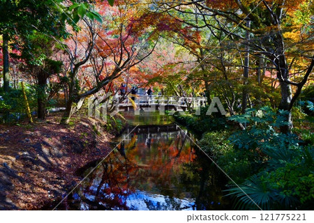 在秋葉染色的池塘 在秋葉染色的池塘 121775221