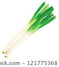 Bunch of green onions 121775368