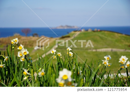 Narcissus and Gunkanjima Narcissus and Gunkanjima 121775954
