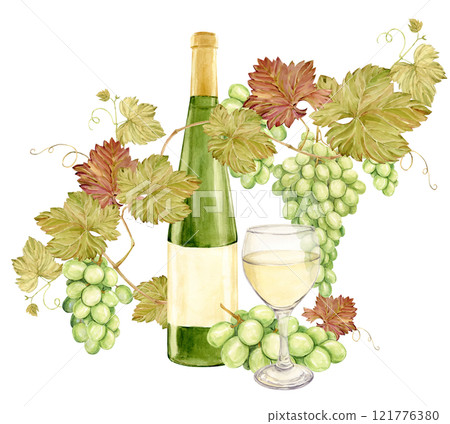 On the table lies a watercolor branch with white grapes, and next to it a glass of white wine and a bottle of green glass. Illustration of green berries. Clipart for tasting, menu, wine list. 121776380