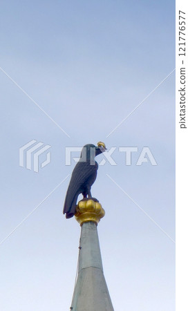 馬蒂亞斯大教堂帶戒指的烏鴉雕像 121776577