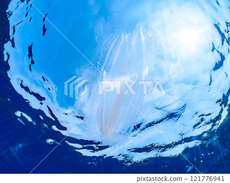 漂浮在水面上的神秘犀牛水母（淋巴科）。 靜岡縣伊豆半島加茂郡南伊豆町中木広濱202 121776941