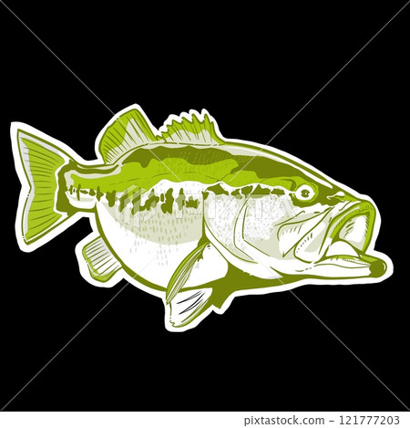 Black bass light color 121777203