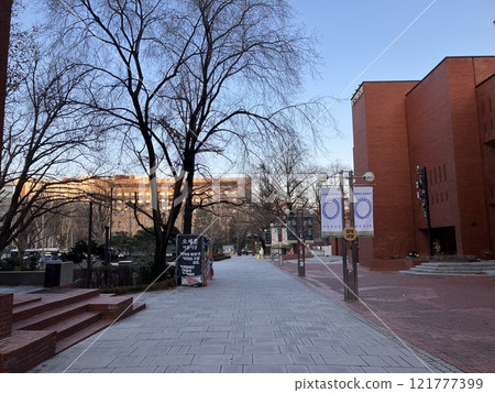 韓國首爾大學路、阿科藝術劇院和 Marronnier 公園 121777399