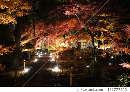 Shikaoin 121777523