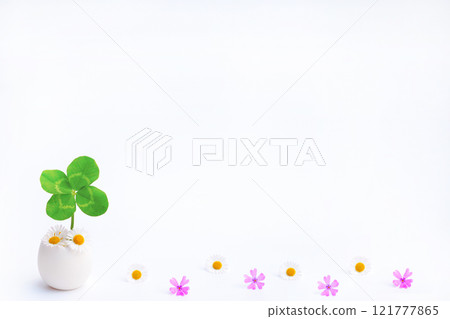 Four-leaf clover and florets on a white background 121777865