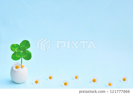 Four-leaf clover and florets on light blue background 121777866
