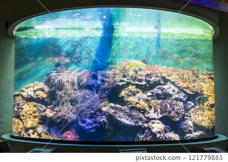 View of the coral aquarium at the National Museum of Marine Biology and Aquarium in Kenting National Park of Pingtung, Taiwan. 121779883