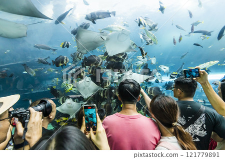 View of the fishes at the Underwater Tunnel at the National Museum of Marine Biology and Aquarium in Kenting National Park of Pingtung, Taiwan. 121779891
