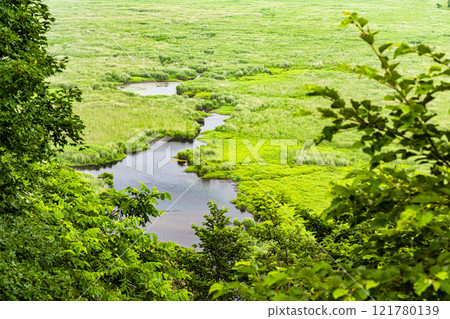 [北海道_釧路濕地]從Kottaro展望台看到的景色7月 121780139