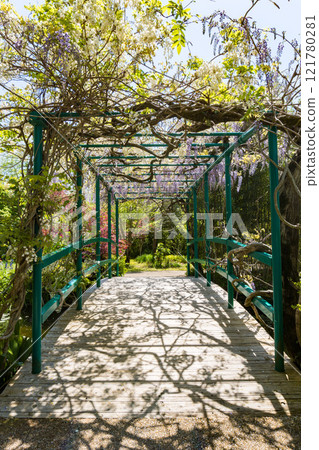 高知縣北川村莫內花園土撥鼠 高知縣北川村莫內花園土撥鼠 121780281