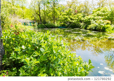 高知縣北川村莫內花園土撥鼠 高知縣北川村莫內花園土撥鼠 121780292