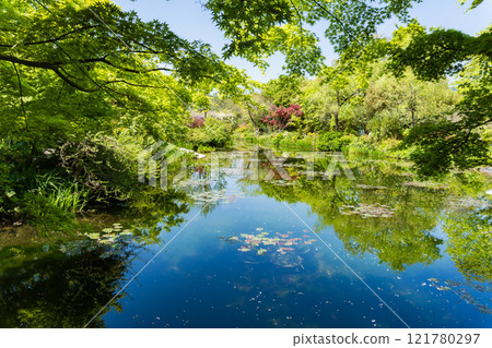 高知縣北川村莫內花園土撥鼠 121780297