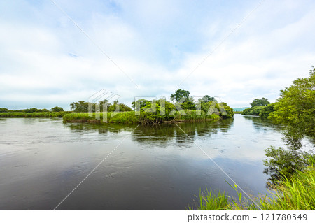 [Hokkaido_Kushiro Marsh] Kushiro River flowing through the marshland in July 121780349
