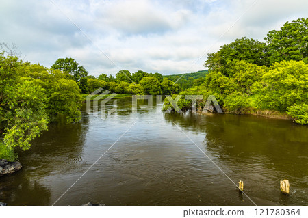 [北海道_釧路濕地] 流經濕地的釧路川 7月 121780364