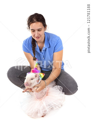 miniature pig in studio 121781188
