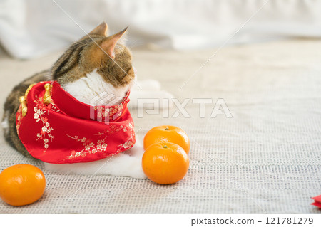 flatlay design for chinese new year concept with red envelope orange and gold on red background flatlay design for chinese new year concept with red envelope orange and gold on red background 121781279