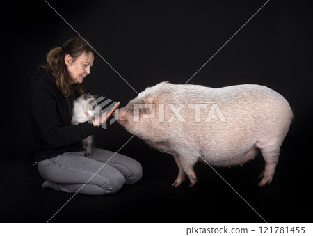 siberian cat, woman and pig in studio 121781455