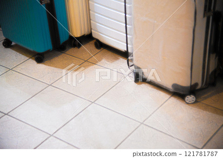 彩色旅行手提箱 121781787