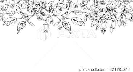 Blueberry blackberry with white bell flowers, plant leaves, hand drawn in ink vector, forest berry on branches. Seamless banner garland illustration for restaurant, cafe menu, wedding, farmers market 121781843