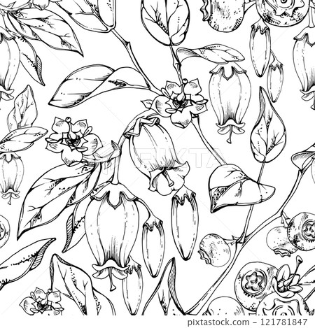 Blackberry blueberry line white bell flowers buds, plant leaves, hand drawn in ink vector, forest berry on branches. Seamless pattern isolated illustration. Wedding menu, scrapbooking, farmers market. Blackberry blueberry line white bell flowers buds, plant leaves, hand drawn in ink vector, forest berry on branches. Seamless pattern isolated illustration. Wedding menu, scrapbooking, farmers market. 121781847