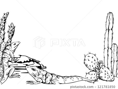 Desert plant succulent cactus nopal, Wildlife iguana lizard reptile animal pet. Hand drawn ink vector illustration, isolated border frame. Travel, vacation brochure, print, zoo botanical garden ads Desert plant succulent cactus nopal, Wildlife iguana lizard reptile animal pet. Hand drawn ink vector illustration, isolated border frame. Travel, vacation brochure, print, zoo botanical garden ads 121781850