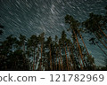 Capturing star trails above tall pine trees in a serene nighttime forest setting 121782969
