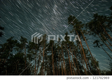 Capturing star trails above tall pine trees in a serene nighttime forest setting 121782969