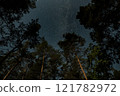 Stargazing under a clear night sky in a forested area 121782972