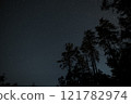 Starry night sky over tall trees in a quiet forest during late evening hours 121782974