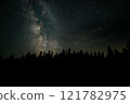 Stars illuminate a forest landscape under a clear night sky filled with the Milky Way 121782975