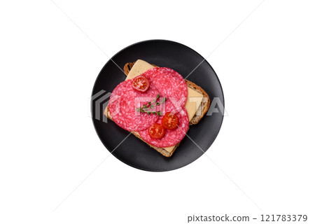 Sandwich with toast, salami slices, cheese and tomatoes, salt and spices Sandwich with toast, salami slices, cheese and tomatoes, salt and spices 121783379