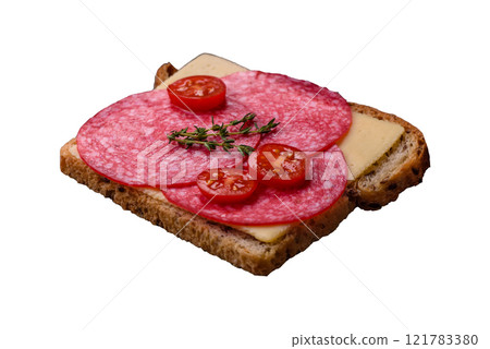 Sandwich with toast, salami slices, cheese and tomatoes, salt and spices Sandwich with toast, salami slices, cheese and tomatoes, salt and spices 121783380