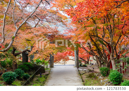 Autumn at Kamado Shrine, Dazaifu City, Fukuoka Prefecture 121783530