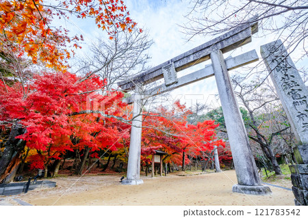 Autumn at Kamado Shrine, Dazaifu City, Fukuoka Prefecture Autumn at Kamado Shrine, Dazaifu City, Fukuoka Prefecture 121783542